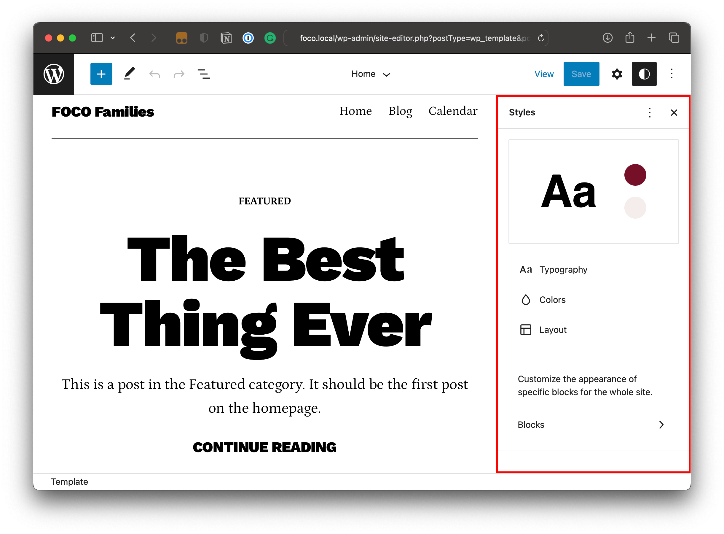 WordPress Site Editor screen with the Global Styles settings open and highlighted with a red border.